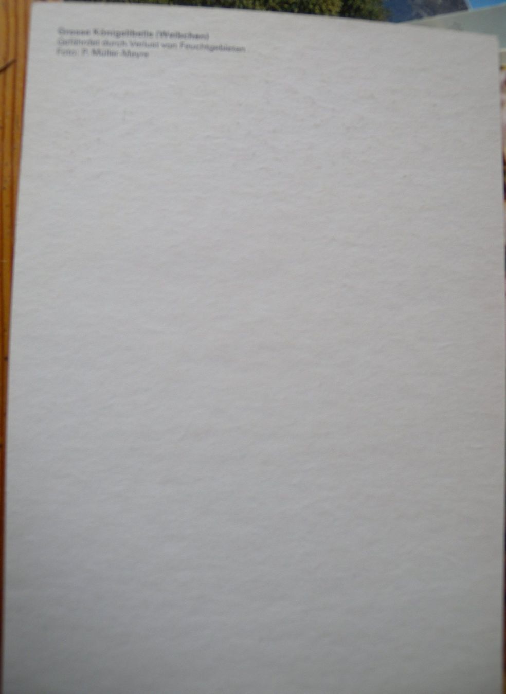 Cartoline postali: Alte Ansichtskarte: "Grosse Königslibelle" ungebraucht – Usato da Hauenstein venduto da davia72 1