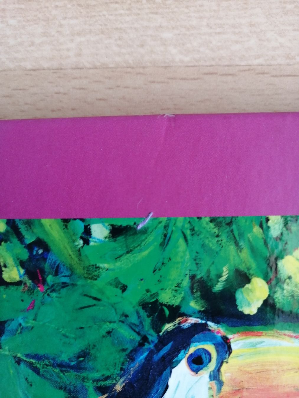 Libri: Botanicals – Usato da Hägendorf venduto da Fiooo 3