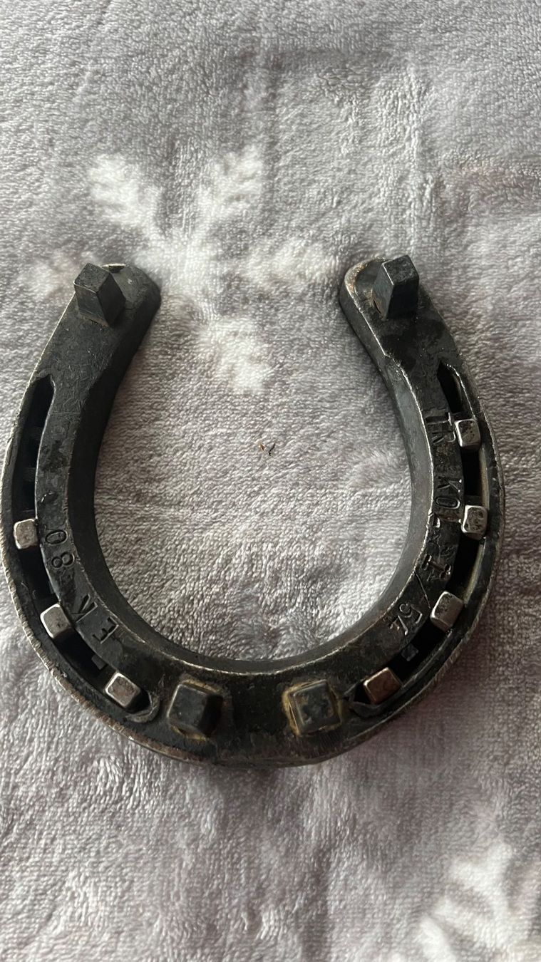 Altro in Accessori per animali: Schweizer Armee Hufeisen I / 54 – Usato da Schübelbach venduto da Dolly990_2