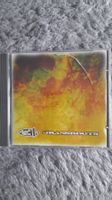 311     GRASSROOTS     CD