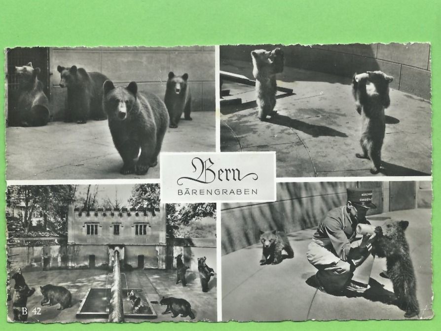 Cartes postales: Bern, Bärengraben – D'occasion à Zürich par t24_de