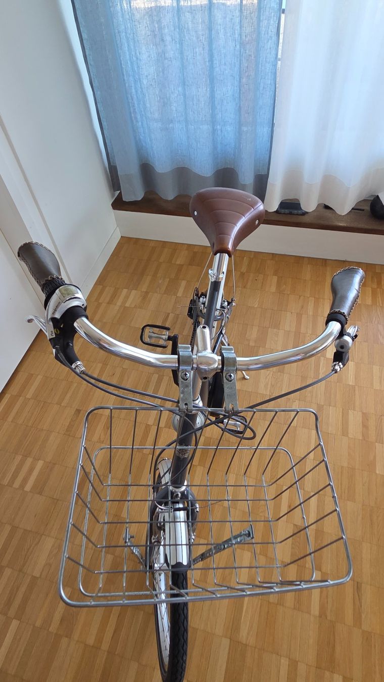 Biciclette: Mini-Velo Bonnet Noir Alize + Pendix E-Antrieb – Usato da Zürich venduto da pixelixi 3