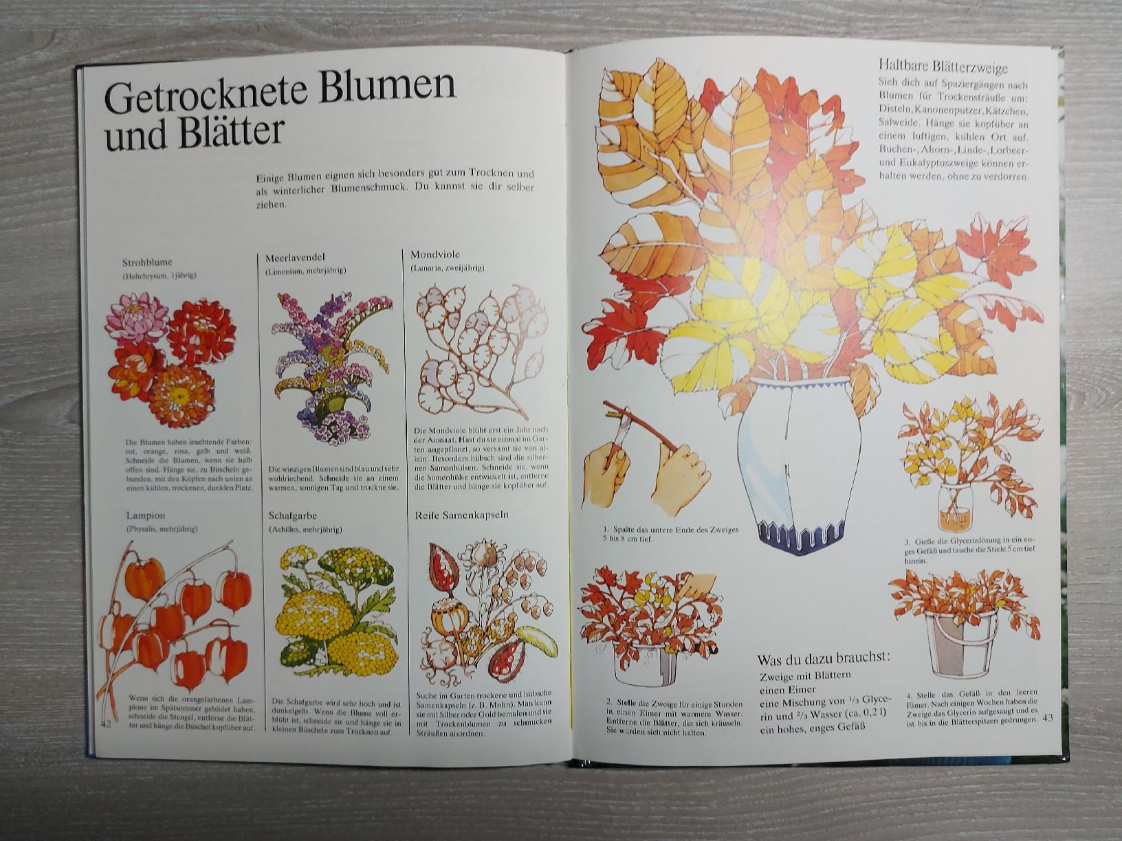 Livres: Gartenbuch für Kinder  – D'occasion à Bern par Bernaro 3