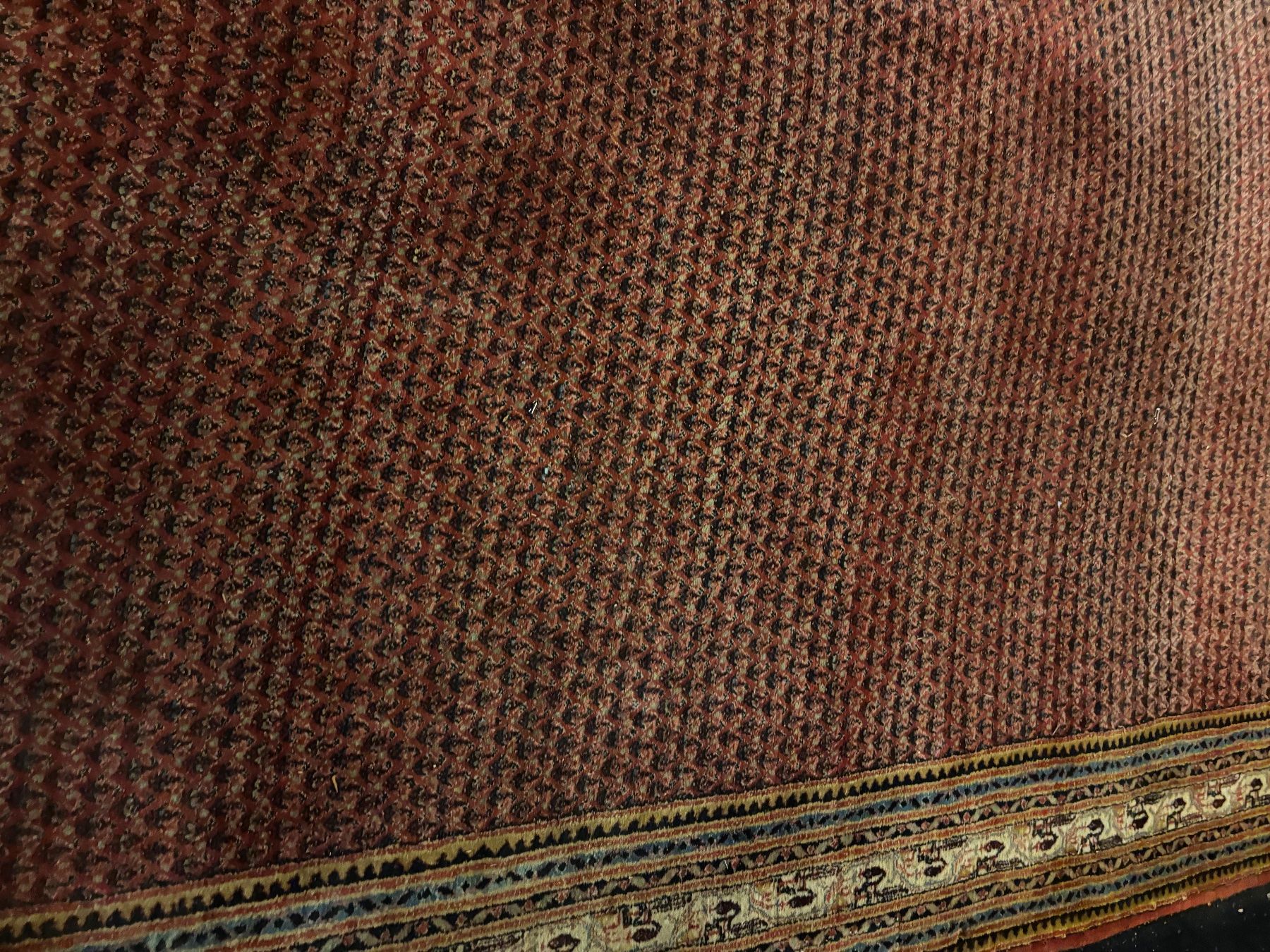 Tappeti: Teppich MIR 400x305cm – Usato da Hindelbank venduto da brm_72zv 3