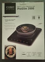 Induktion, Herdplatte mobil, Casio pro Slim 2000, Outdoor