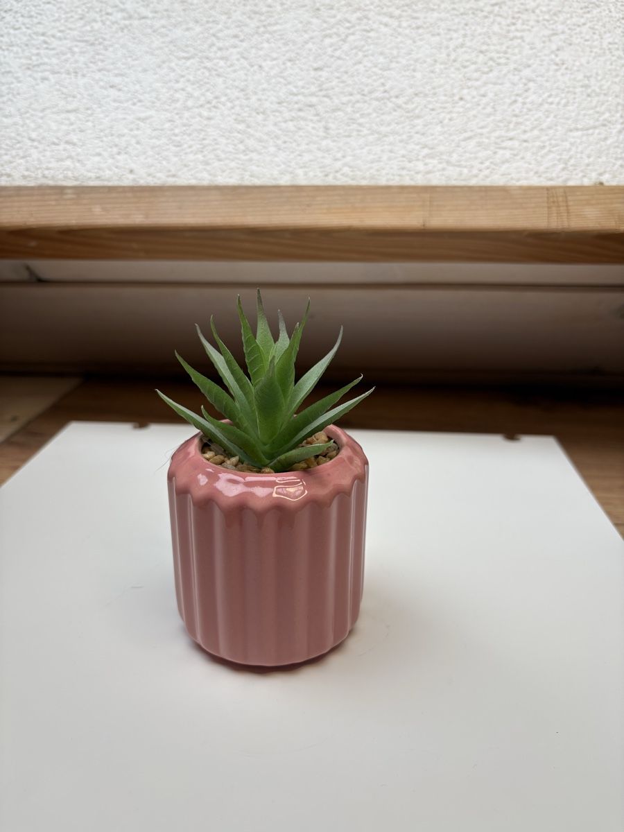 Alle Dekorationen: Lots de décorations  – Gebraucht aus Le Locle von Charlotte_122 5