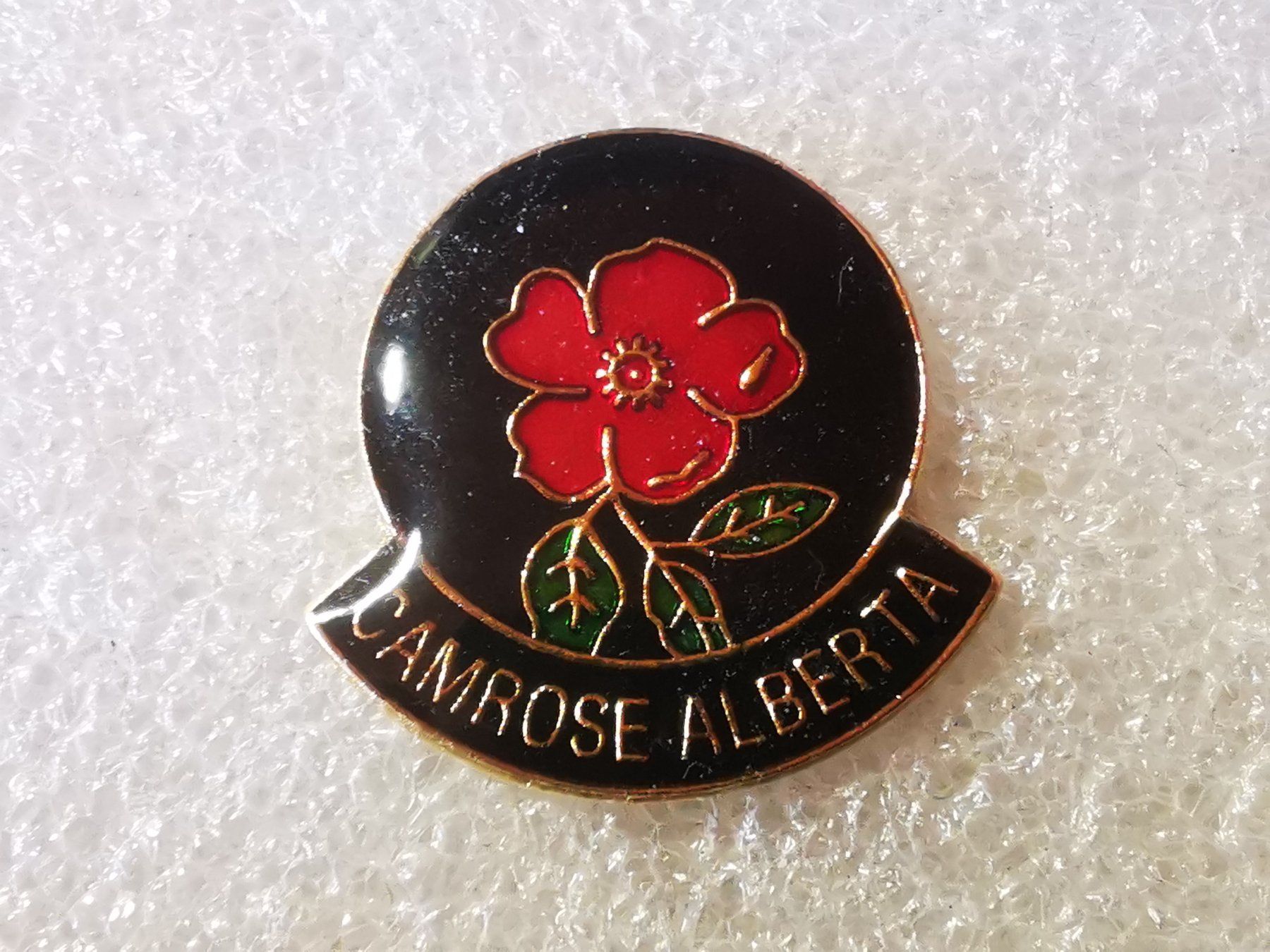 Placchette & Badge: Ansteckpin 101: Camrose Alberta – Usato da Oppligen venduto da Pin-Fall-Shop