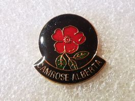 Ansteckpin 101: Camrose Alberta