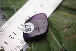 Sugilith 8.2g    Trommelstein   –Lot Edelsteinstube