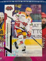 National League - Alexander Yakovenko - Purple - EHCB