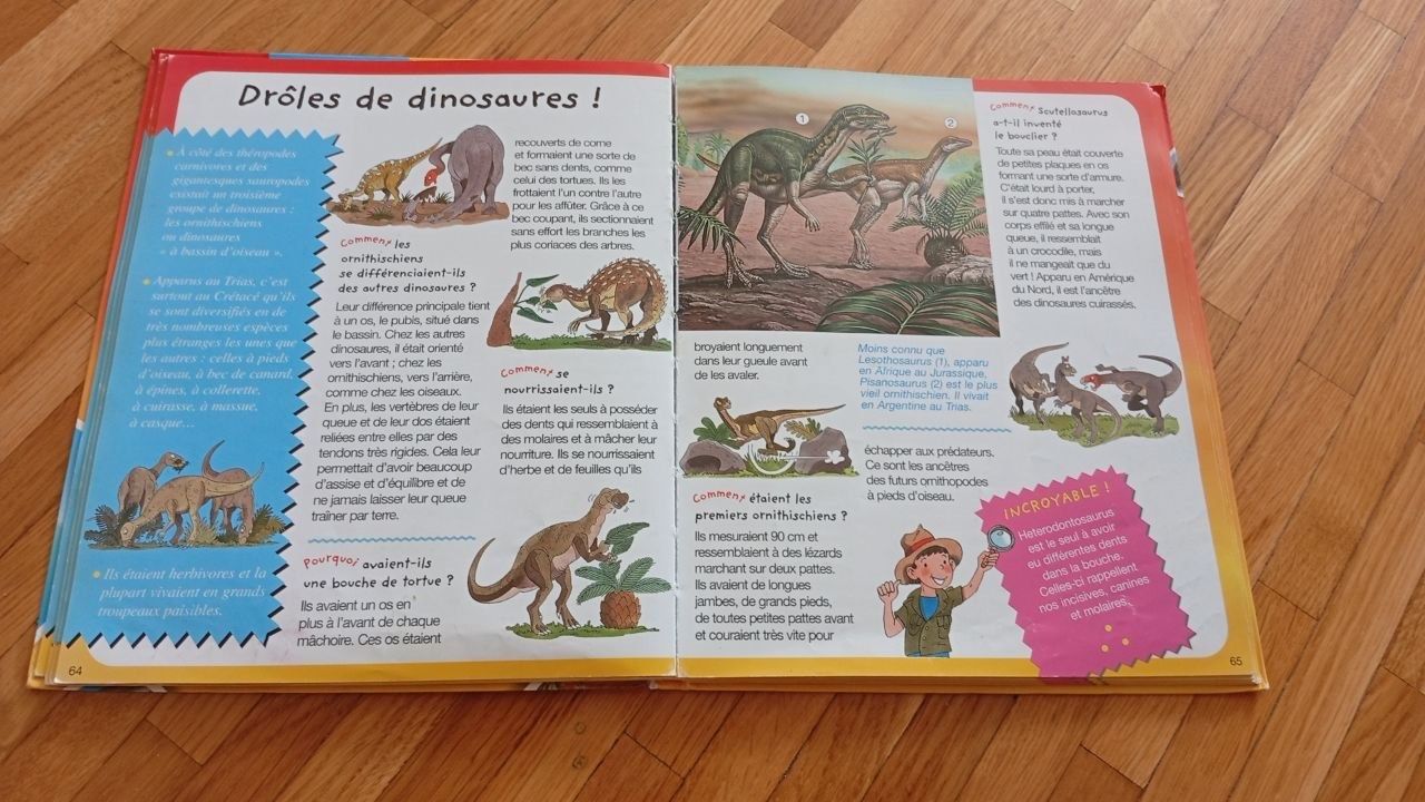 Libri: set de 3 livres "dinosaures" – Usato da Gland venduto da M_marc 5