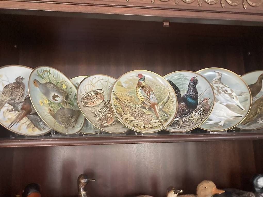 Teller: Collection 12 assiettes avec oiseaux du Monde – Gebraucht aus Greng von Cristina0112 1