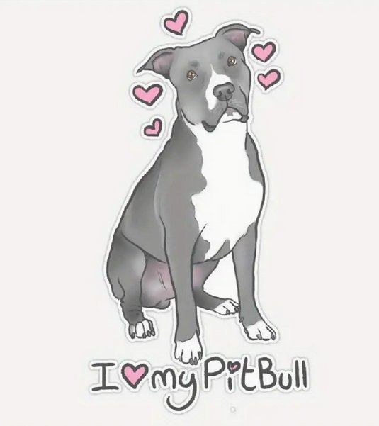 Sticker: AUTOAUFKLEBER "I LOVE MY PITBULL" NEU – Nuovo e nell'imballaggio originale da Bad Ragaz venduto da Schtupsi