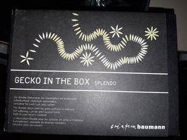 Gecko in the Box Splendo