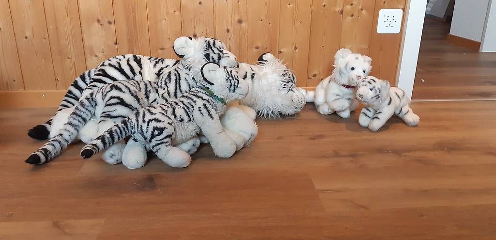 Spielzeuge: Tiger Familie – Gebraucht aus Rütihof von ali_9tbw