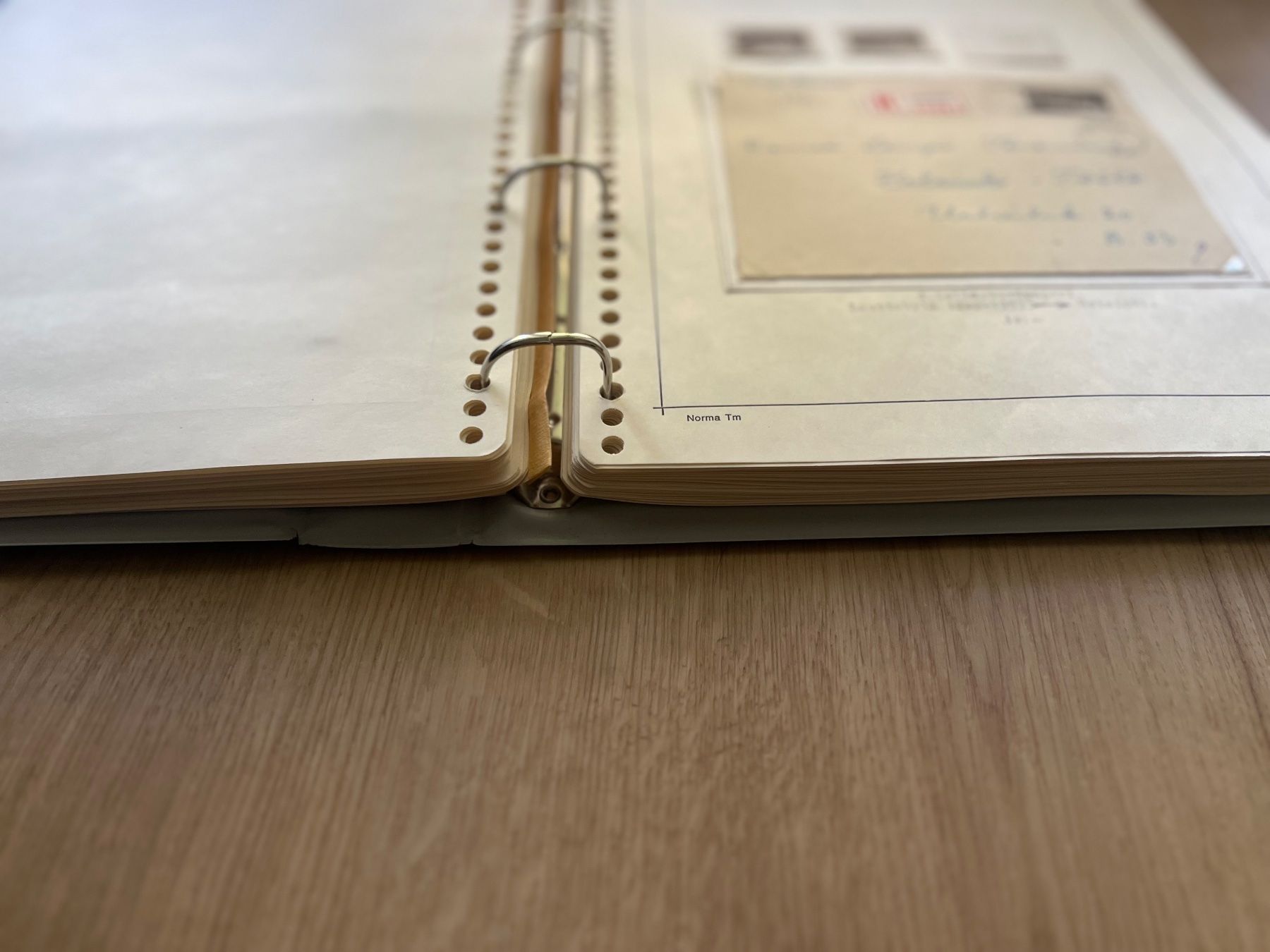 Tutti i francobolli: Alte Briefmarkensammlung – Usato da Gossau ZH venduto da SwissFinds7 3
