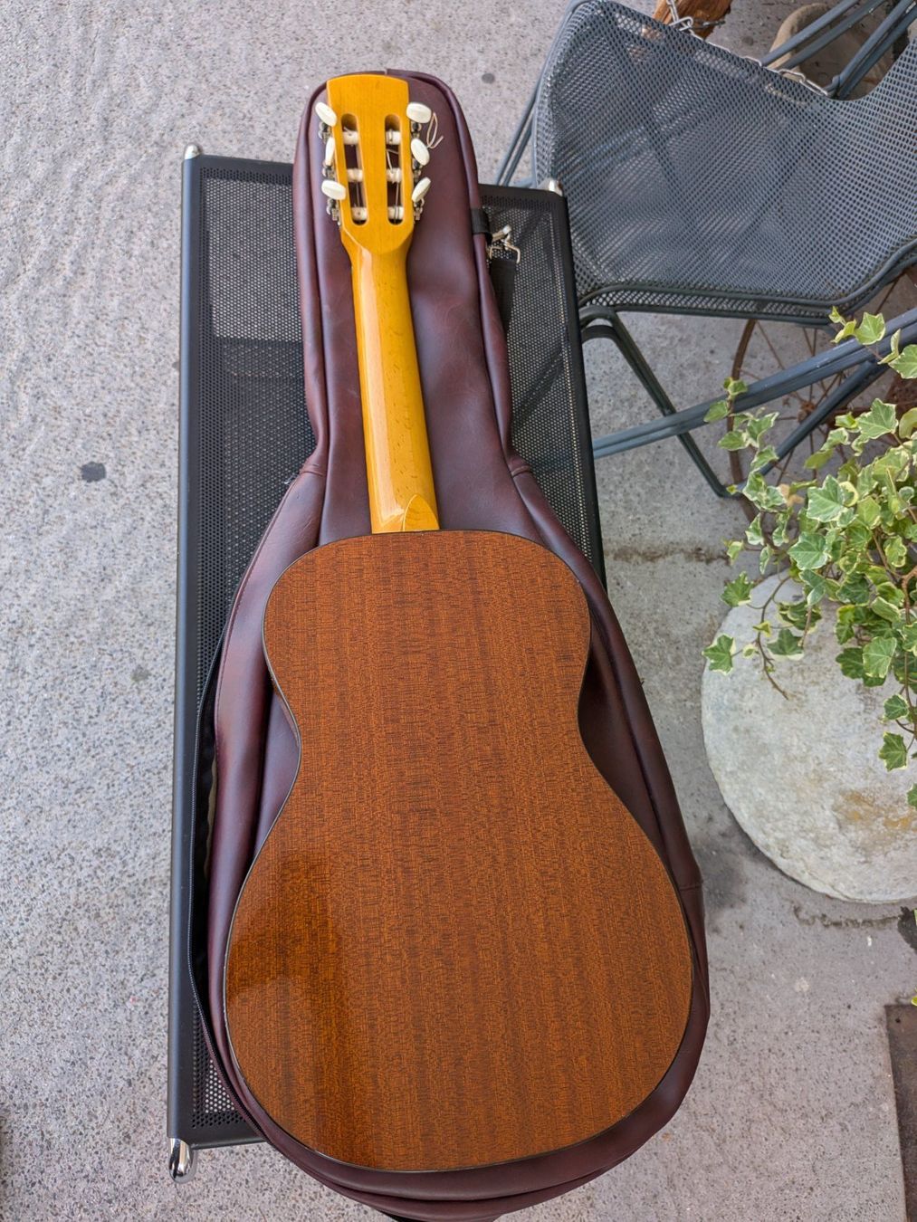 Musikinstrumente: Gitarre Herbert Schäffner Serie Torella Model 40 – Gebraucht aus Emmen von Brockofsky 3