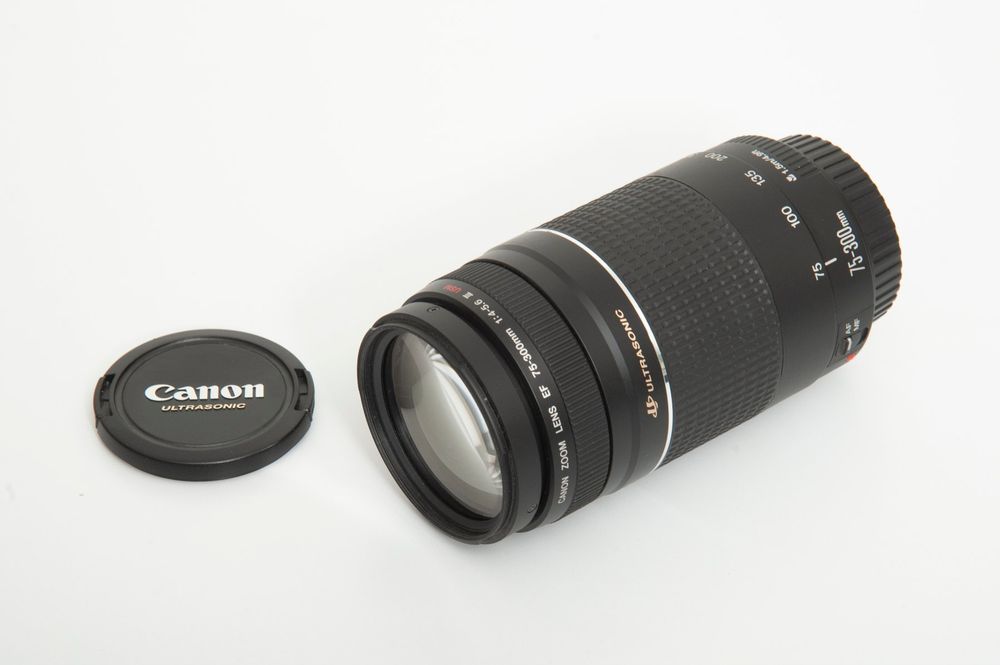 CANON ZOOM LENS EF75-300mm 1:4-5.6 IS50062 - レンズ(ズーム)