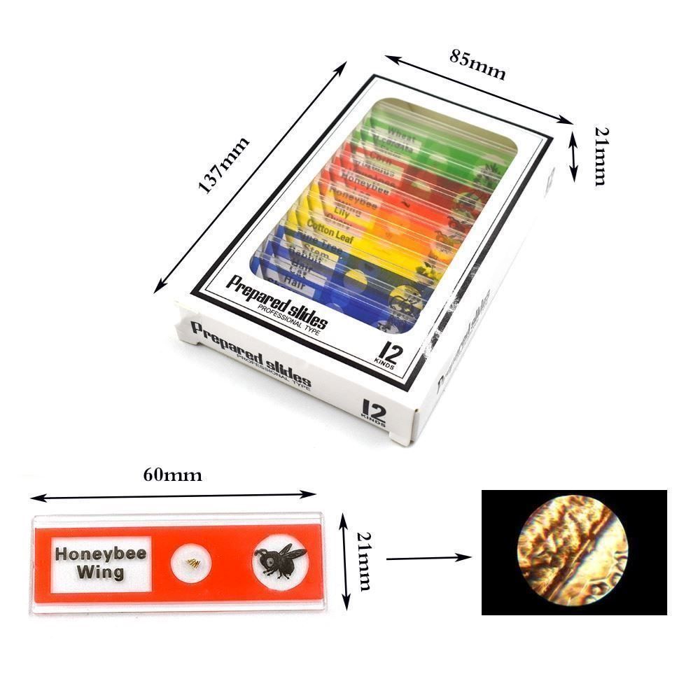 Microscopi: Kit de Microscope à LED de laboratoire LED-Labor-Mikroskop-S – Nuovo e nell'imballaggio originale da Delemont venduto da Superchoice 4