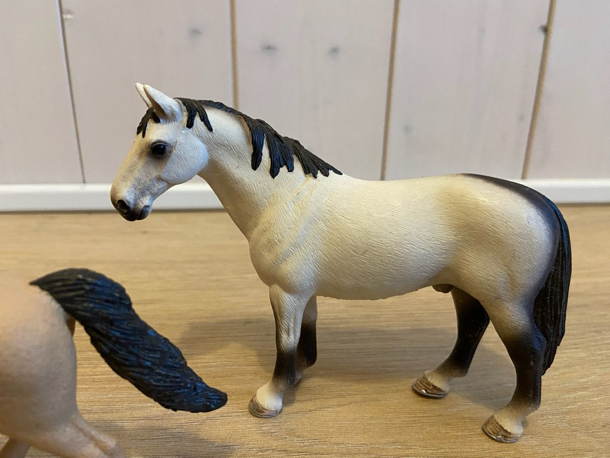 Schleich Giocattoli: Schleich Pferde Set 3 Stück  – Nuovo (secondo la descrizione) da Hausen am Albis venduto da Hannavgr 2
