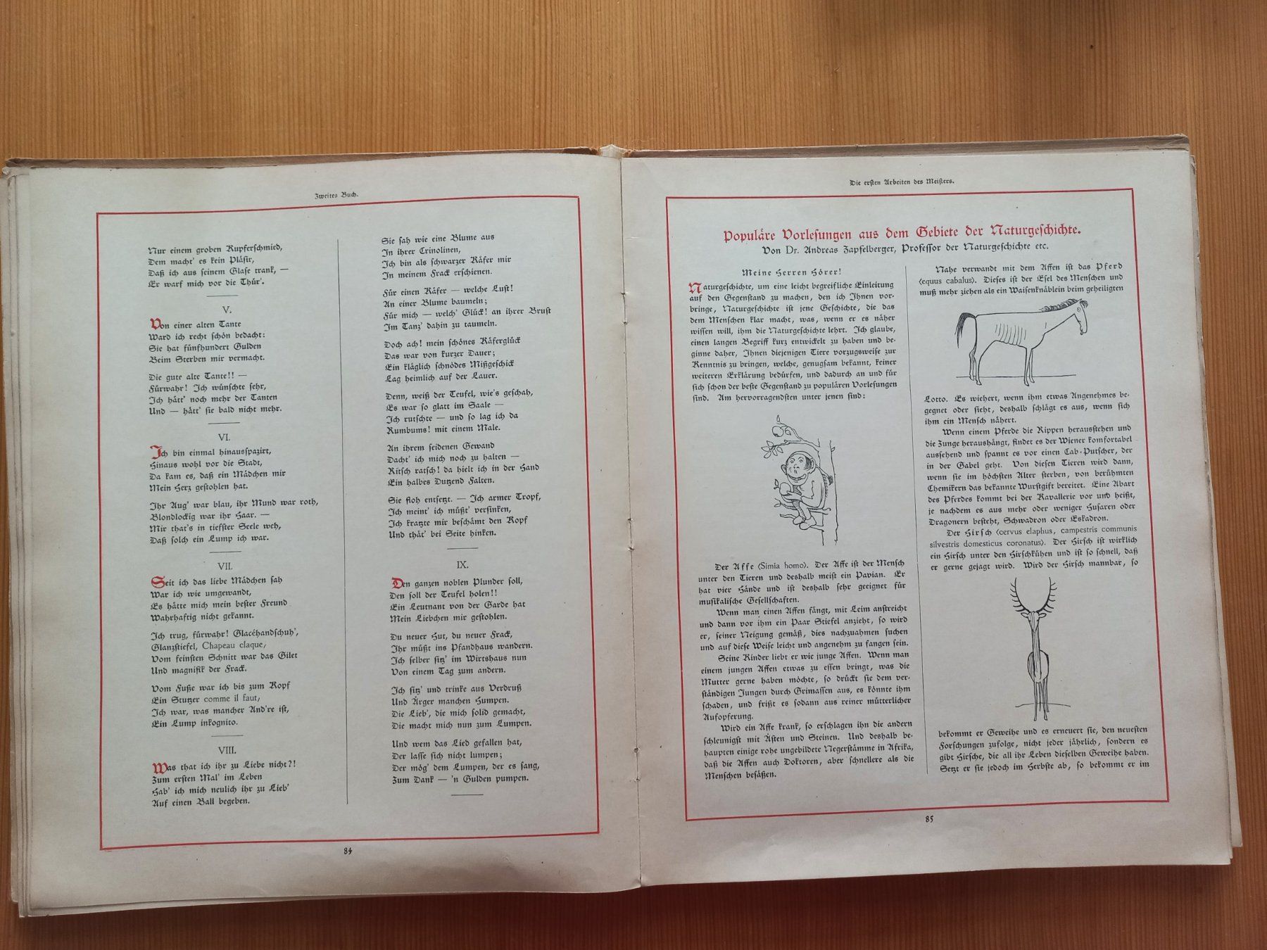 Libri: Antike Buch – Usato da Reinach BL venduto da Niculescu 4