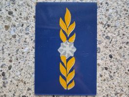 *** Gradabzeichen Brigadier Schweizer Luftwaffe ***