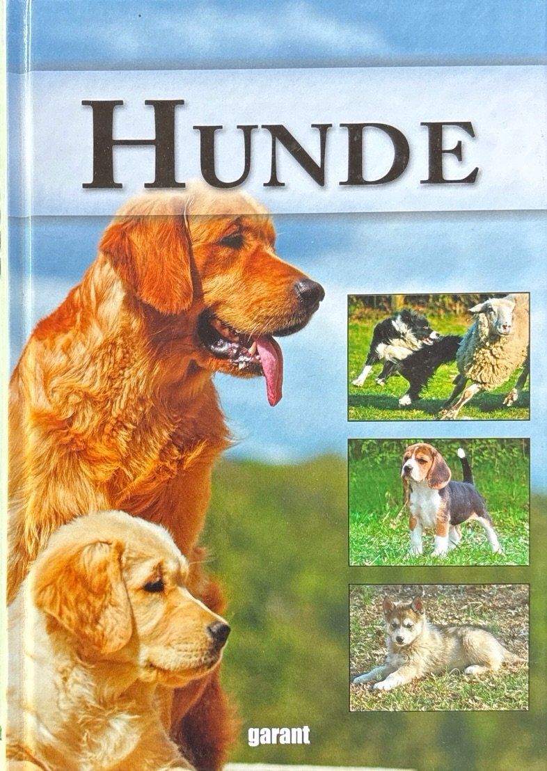 Bücher: Hunde (Garant Verlag) – Neu (gemäss Beschreibung) aus Sarnen von Livres