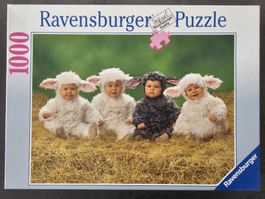 Ravensburger Puzzle "Süsse Lämmchen" 1000 Teile