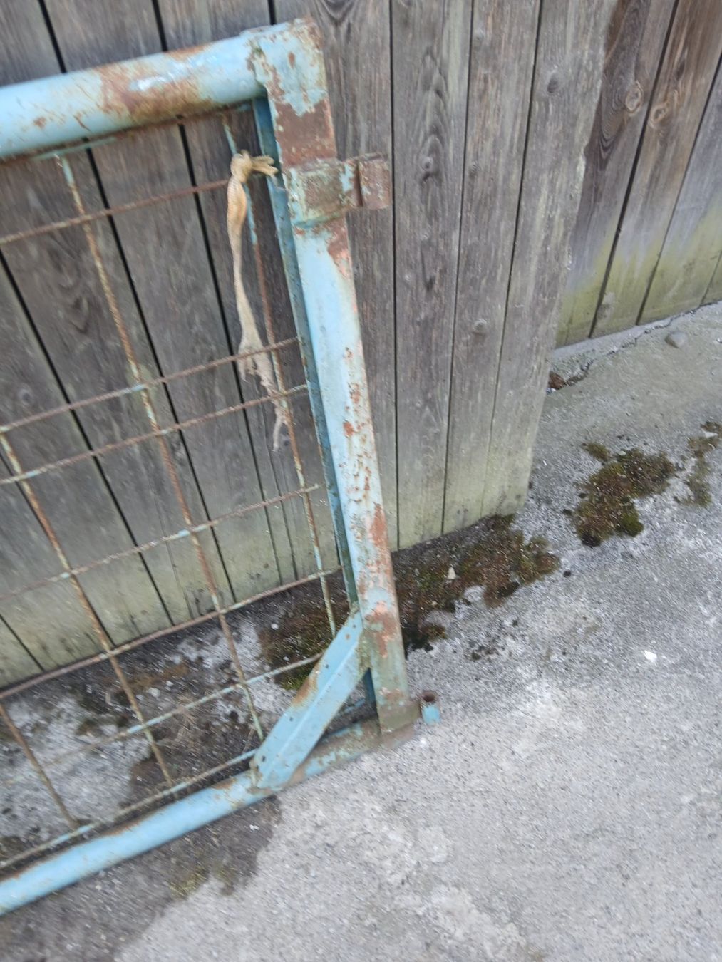 Altre attrezzature per stalle: Weidetor – Usato da Maur venduto da Chrigel74 1