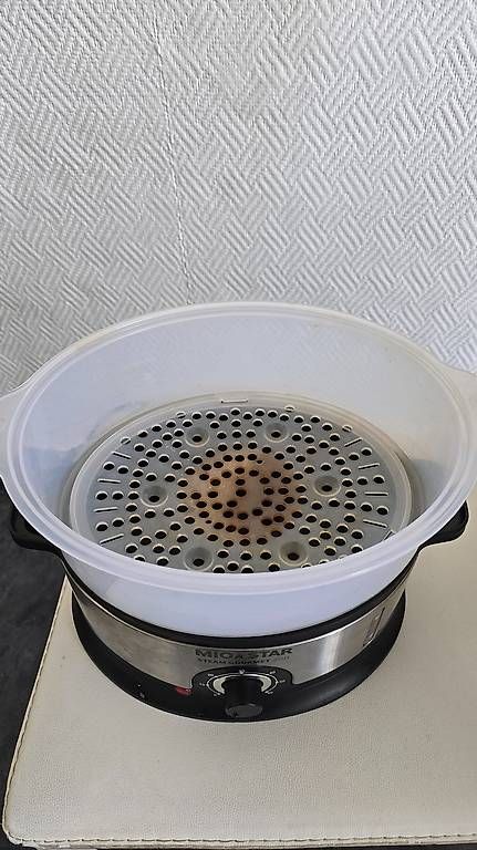 Elettrodomestici da cucina: Steam Gourmet 200 – Usato da Confignon venduto da morisbtz 1