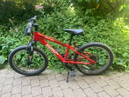 BMC Sportelite SE20 frisch ab Service