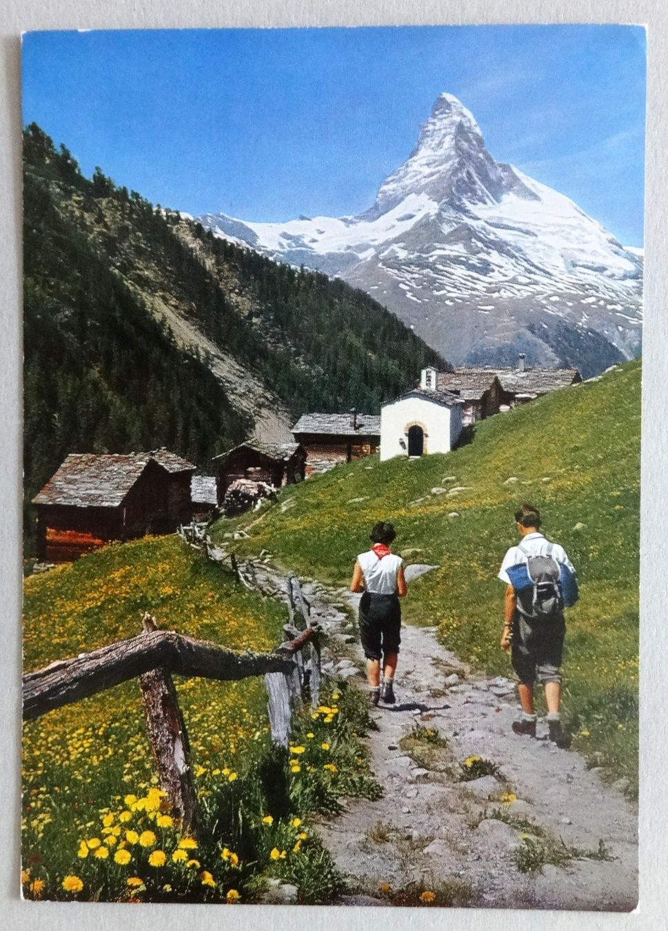 Cartoline postali: Zermatt, Findeln mit Matterhorn – Usato da Fétigny venduto da Billy2miny