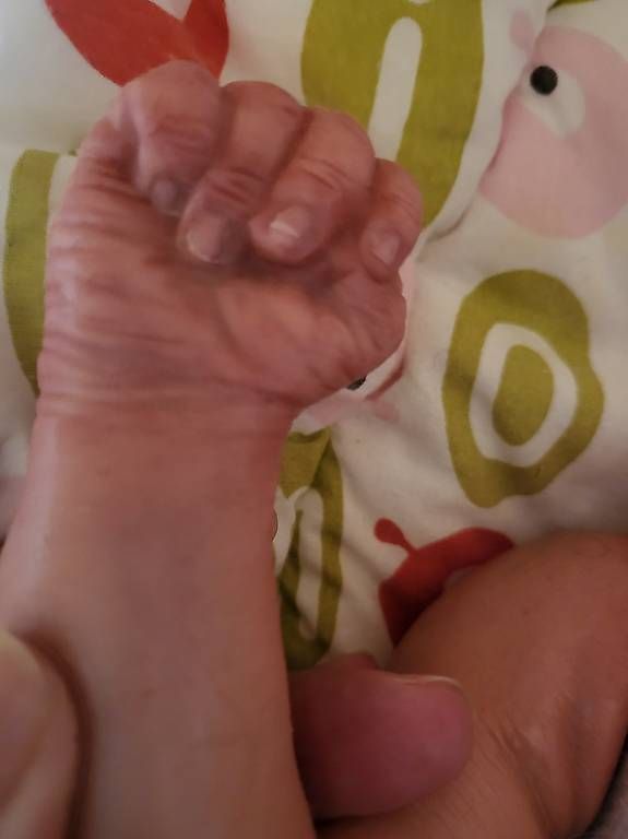 Reborn Bambole: Reborn Teilsilikonbaby Callie – Usato da Reigoldswil venduto da Gigelino 2