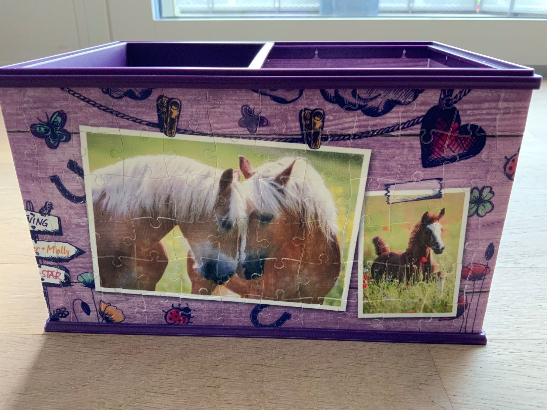 Contenitori & Simili: Ravensburger Aufbewahrungsbox – Usato da Möhlin venduto da karal