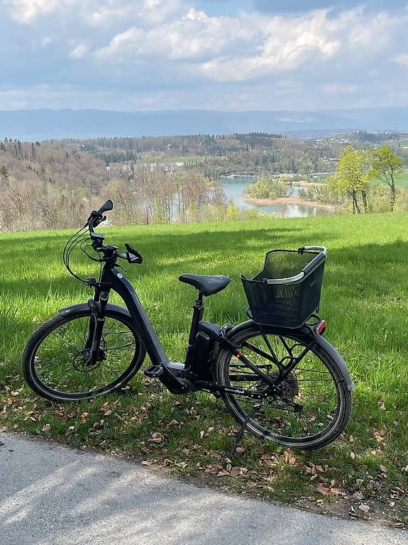 Vélos: Flyer Gotour 5 7.10 – D'occasion à Laupen BE par mar_x6n9 1