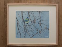 Mésange Bleue sous la neige/pluie
