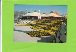 Grün 80--Sektor "Markt"
