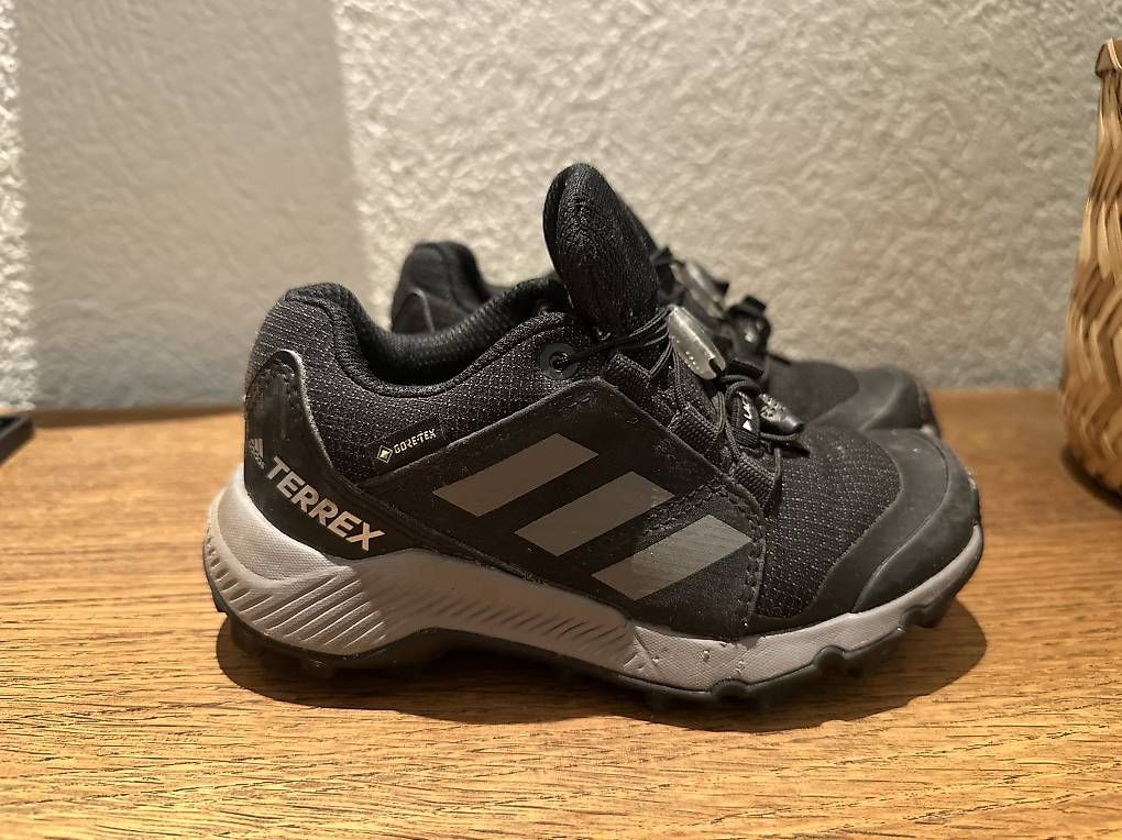 Herrenschuhe: Adidas Terrex GTX Gore-Tex Gr. 28,5 – Gebraucht aus Lyss von Angelahar 1
