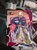 Luca Hollenstein HC Davos 2025/26 Sportzoo Pink