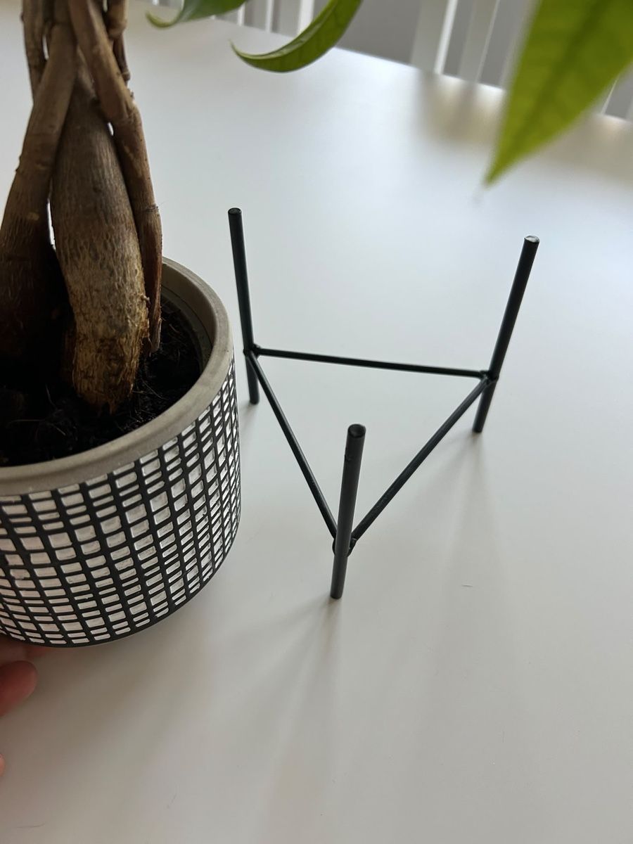 Plantes & graines: Zimmerpflanze mit Topf und Gestell – D'occasion à Mägenwil par afiloni84 4