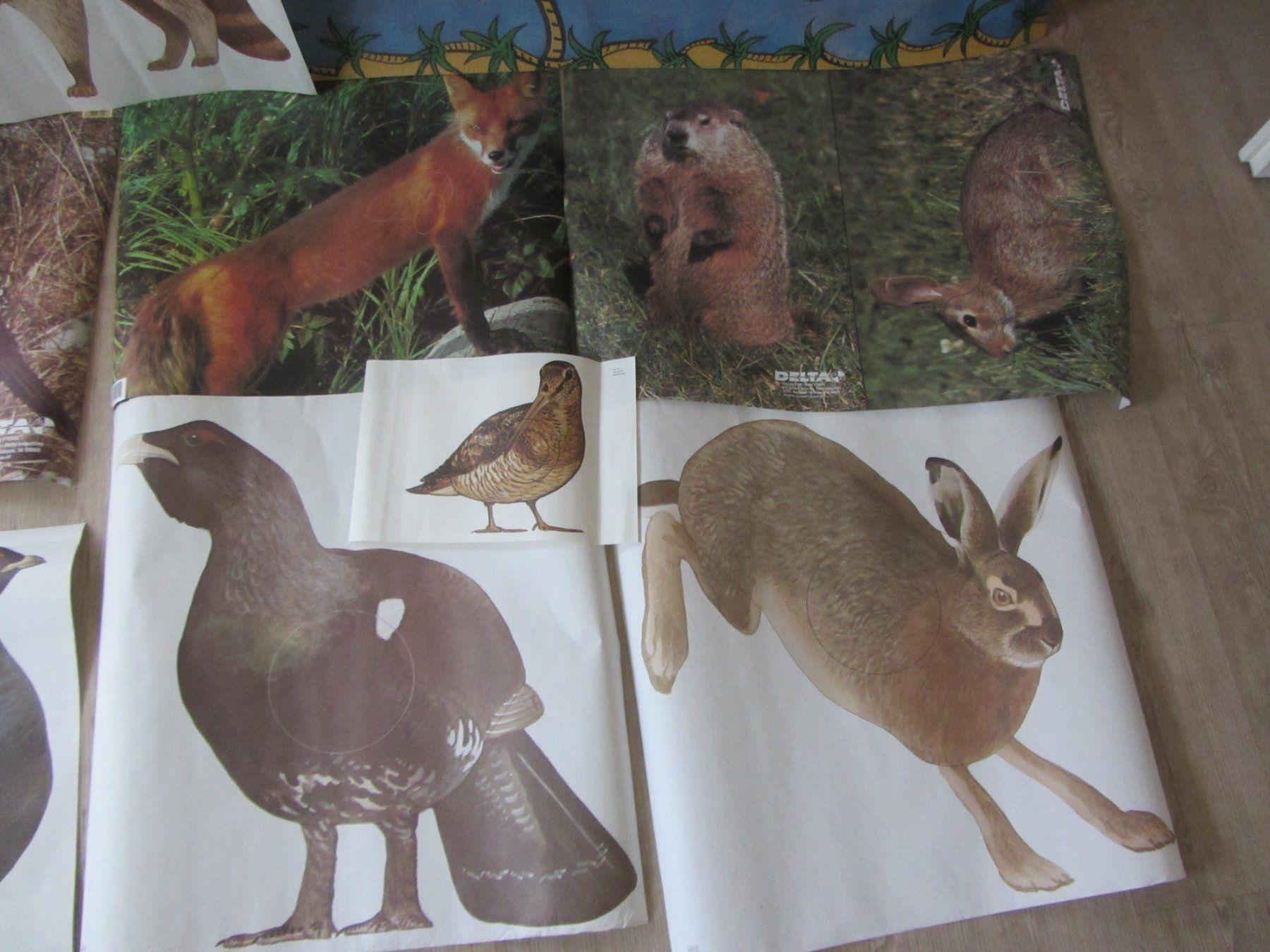 Bogenschiessen: Scheiben Auflagen Bogenschiessen Scheibenbild Diverse Tiere – Gebraucht aus Malters von moc_z8d9 2