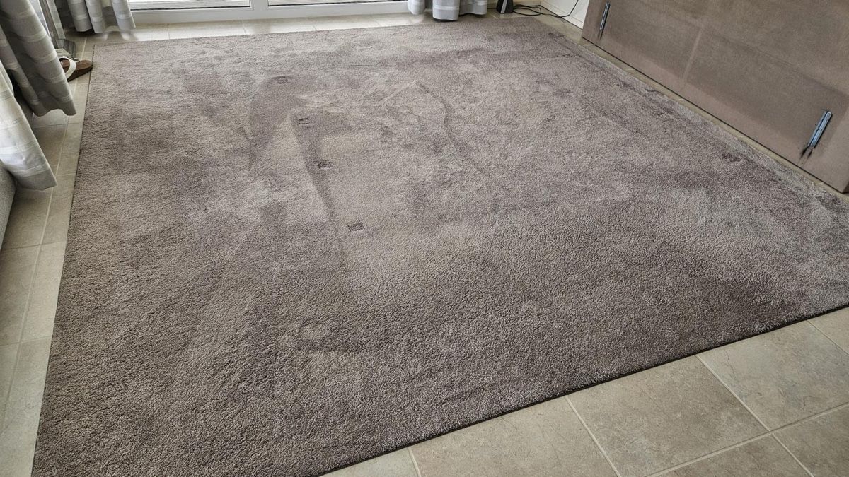 Tapis: Teppich 300x310 – Neuf (Voir description) à Oberaegeri par r.gruyters 2
