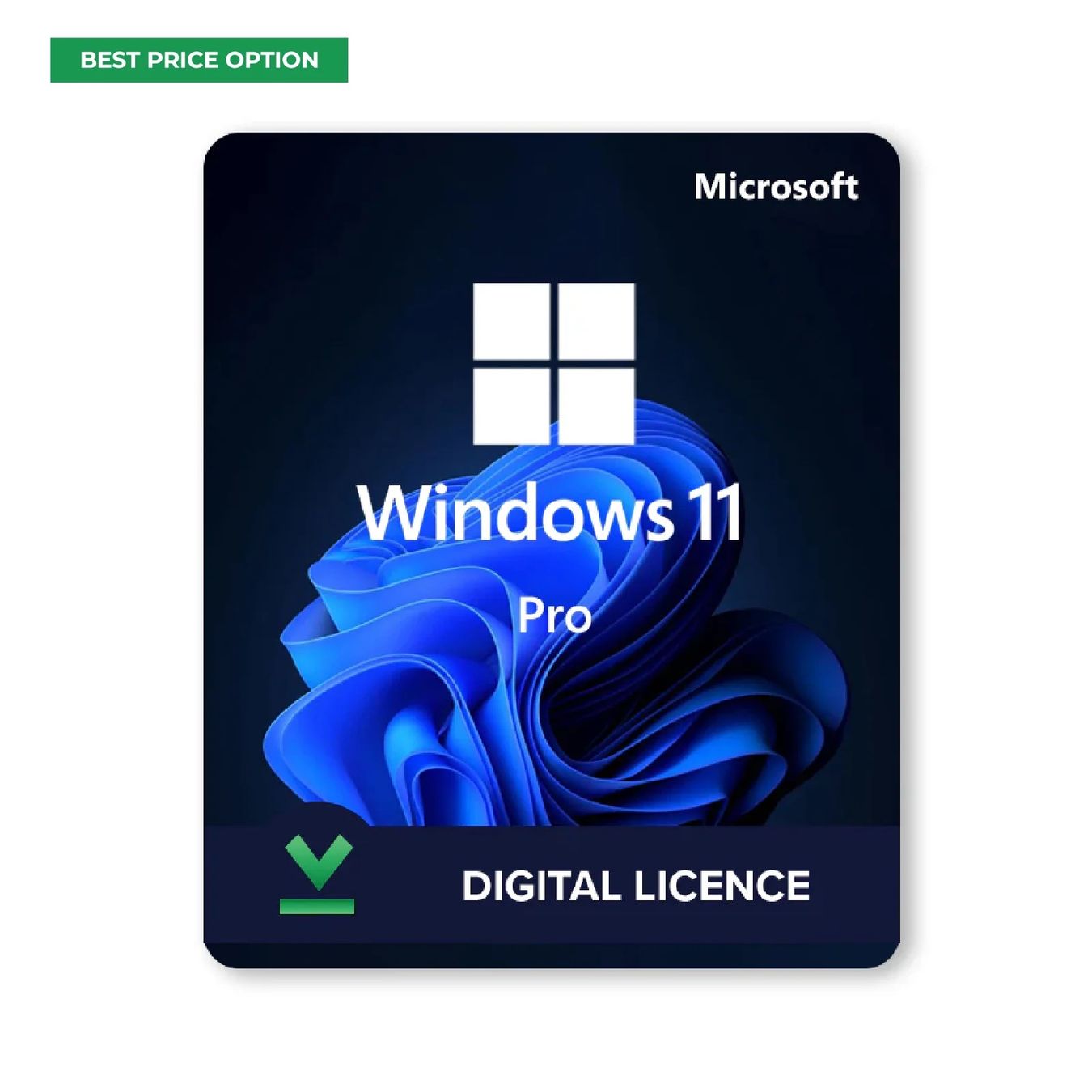 Microsoft Software: Windows 11 Pro - TWINT – Usato da Saignelégier venduto da KNM
