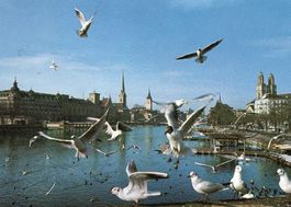 Zürich - Blick in die Altstadt