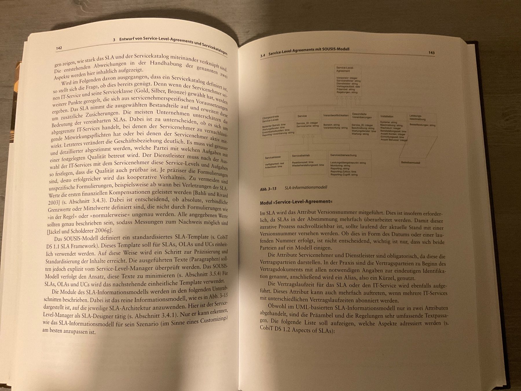 Bücher: Robert Scholderer Management von Service-Level-Agreements – Gebraucht aus Avenches von Lactobacille 2