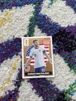 Christian Pulisic bronze