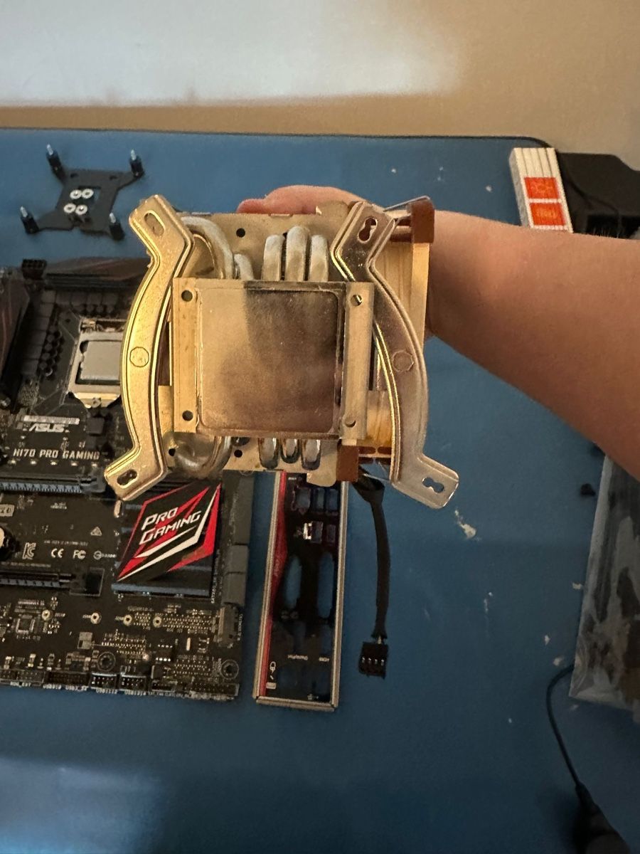 Asus Schede madri: Asus Mainboard H170 pro Gaming – Usato da Rebstein venduto da Princess955 3