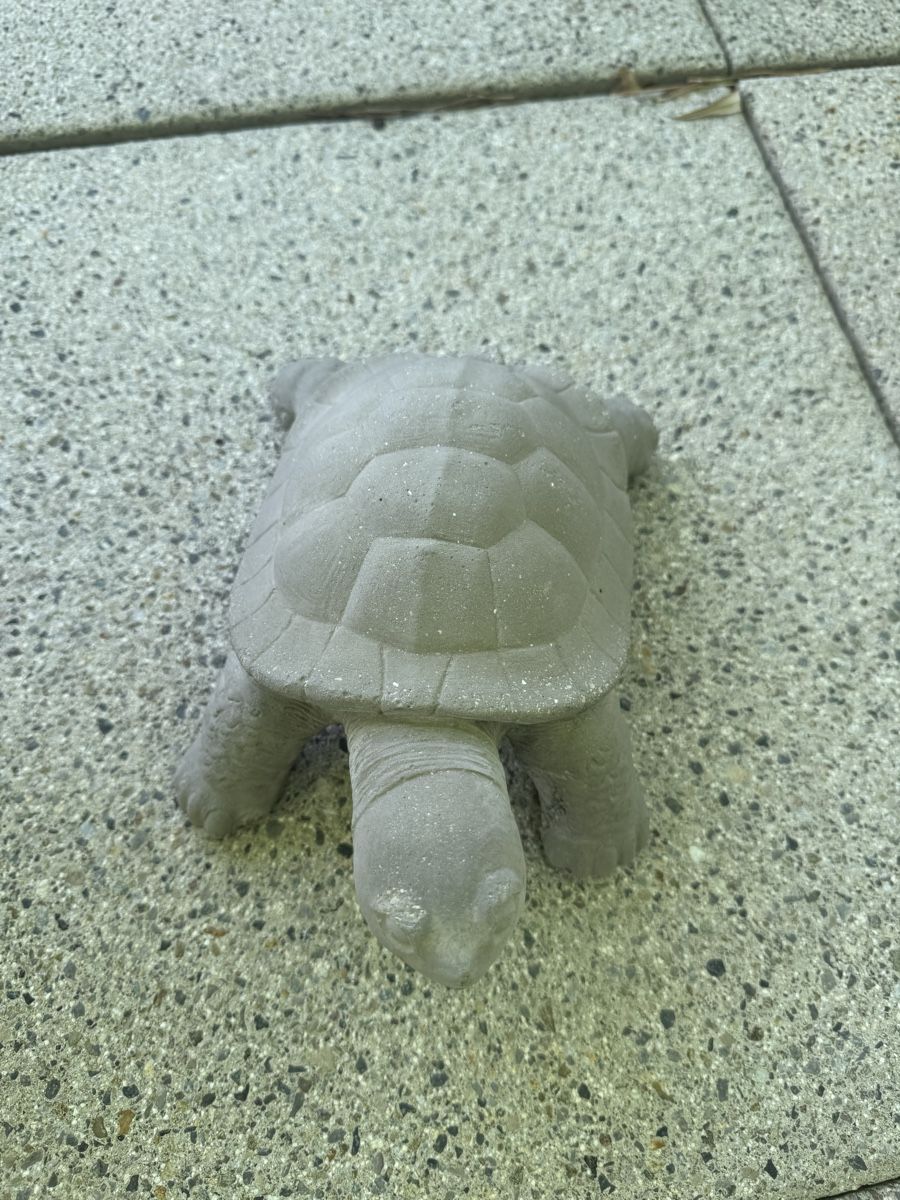 Alle Dekorationen: Beton Schildkröte Gartendeko – Gebraucht aus Dübendorf von Raschima 2