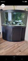 Aquarium d'angle Juwel Trigon 350 litres