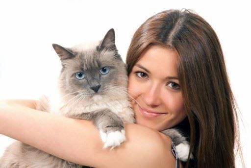 Tiragraffi: WUNDER KATZENBAUM - GROSSE KATZEN TOP ! – Nuovo e nell'imballaggio originale da Eschenbach LU venduto da PETHOMES_AG 2